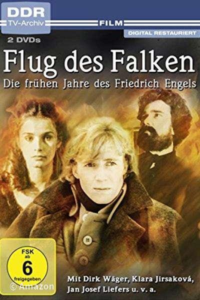 Flug des Falken Flug des Falken